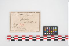 Etikett zu Bronzebuckelarmreif (NHMW-PRAE-025789)